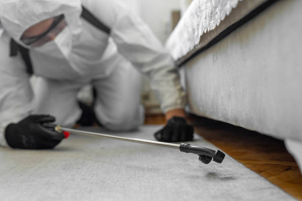Professional Cockroach Control technician working in Delhi, LA