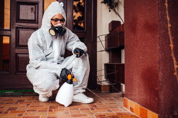 Reliable Cockroach Control contractor in Delhi, LA by Nex Pest Control