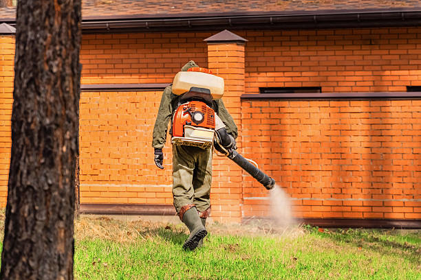 Top rated local Cockroach Control specialists in Delhi, LA